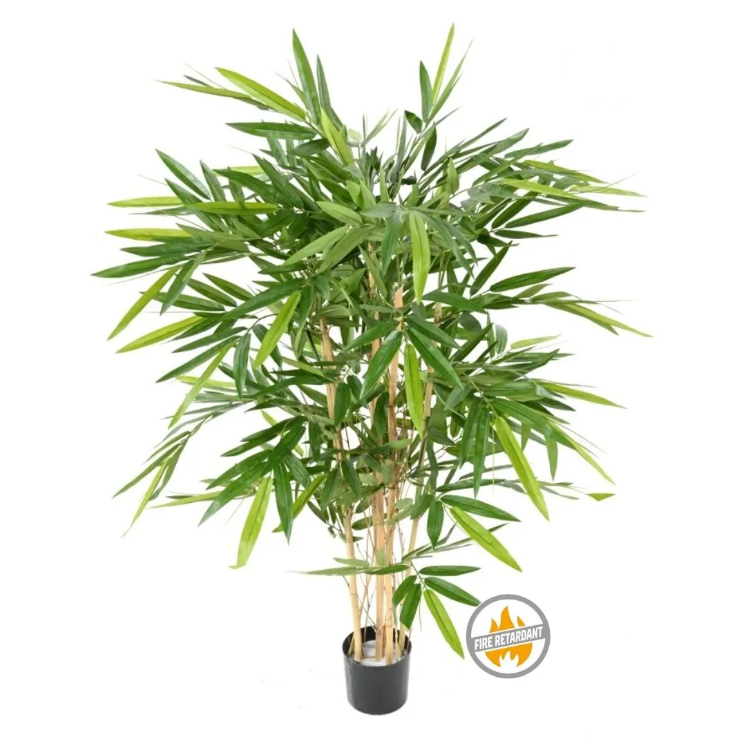 Drzewa trudnopalne Edylux