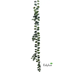 Fitonia-Girlanda-180-cm-EX1039.webp Fitonia - Girlanda 180 cm