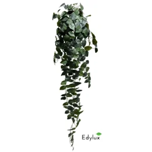 Fitonia-Wiszaca-150-cm-EX1037.webp Fitonia Wisząca 150 cm