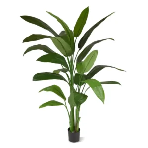 Helikonia-170-cm.webp Helikonia 170 cm