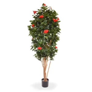 Hibiskus Czerwony 175 cm