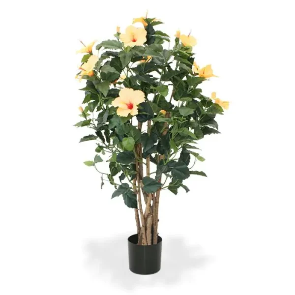 Hibiskus Luksusowy Pomarańczowy 100 cm