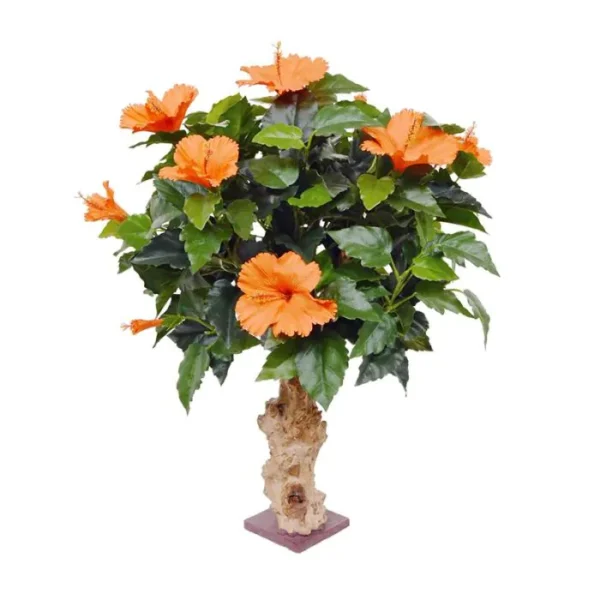 Hibiskus Pomarańczowy 65 cm
