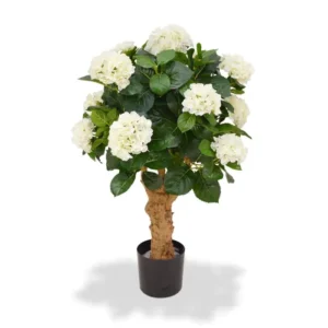 Hortensja Luksusowa Kremowa 90 cm