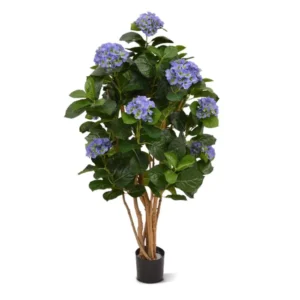 Hortensja Niebieska 110 cm