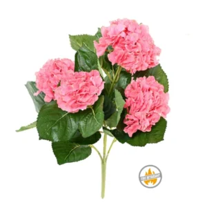 Hortensja Różowa na Piku 50 cm - Produkt Trudnopalny FR