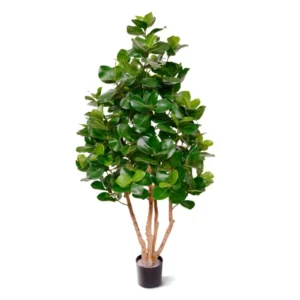 Kluzja Luksusowa 120 cm