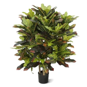 Kroton-Luksusowy-90-cm.webp Kroton Luksusowy 90 cm