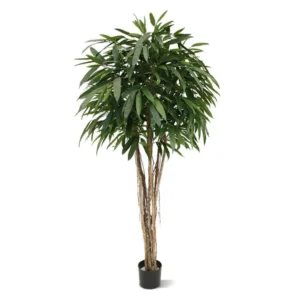 Longifolia Luksusowa 180 cm