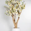 Drzewo magnolii z białymi kwiatami na naturalnym egzotycznym pniu