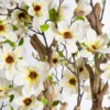 Drzewo magnolii z białymi kwiatami na naturalnym egzotycznym pniu