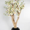 Drzewo magnolii z białymi kwiatami na naturalnym egzotycznym pniu