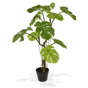 Monstera-90-cm.webp Monstera 90 cm