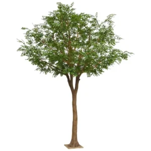 Murraja Luksusowa 370 cm