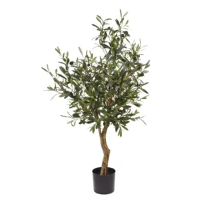 Oliwka Luksusowa - 95 cm