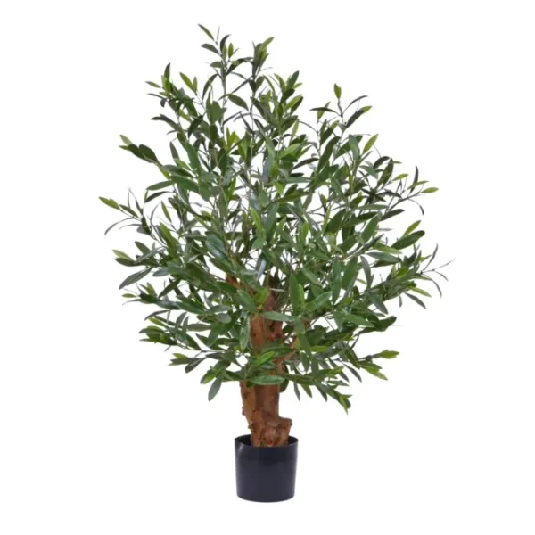 Oliwka - Bonsai UV 90 cm