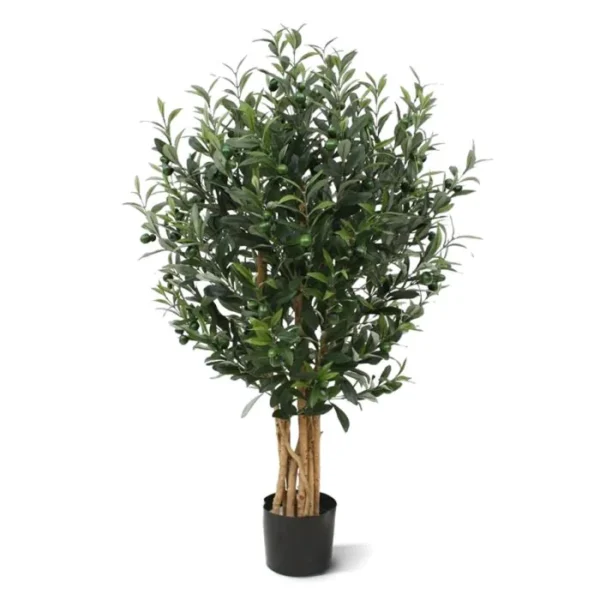 Oliwka Luksusowa 120 cm