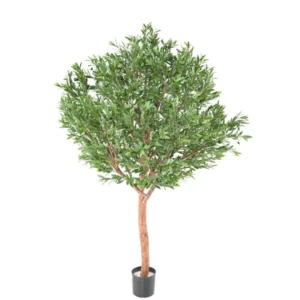 Oliwka-Luksusowa-UV-210-cm.webp Oliwka Luksusowa UV 210 cm