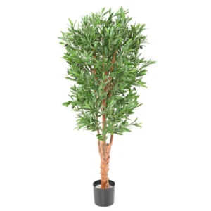 Oliwka-na-Sekatym-Pniu-UV-150-cm.webp Oliwka na Sękatym Pniu UV 150 cm