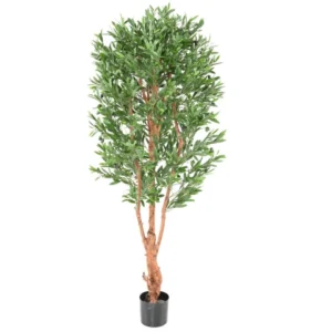 Oliwka-na-Sekatym-Pniu-UV-180-cm.webp Oliwka na Sękatym Pniu UV 180 cm