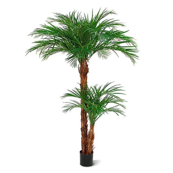 Palma Areka Luksusowa 225 cm