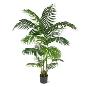 Palma Areka Promo 160 cm