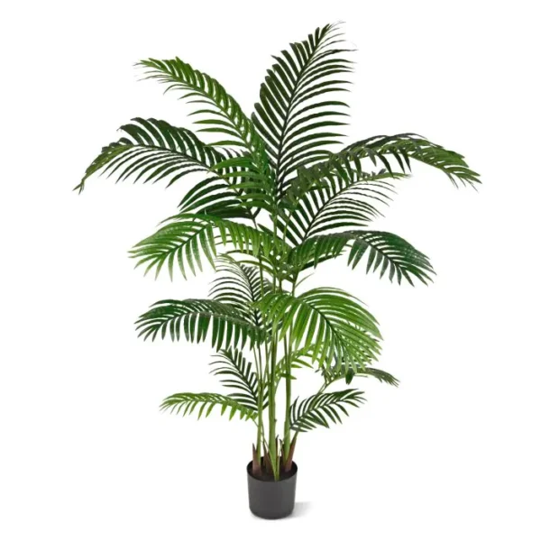Palma Areka Promo 160 cm