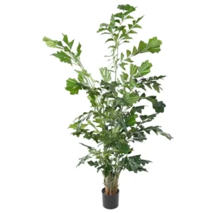 Palma-Kariota.webp Palma Kariota 190 cm