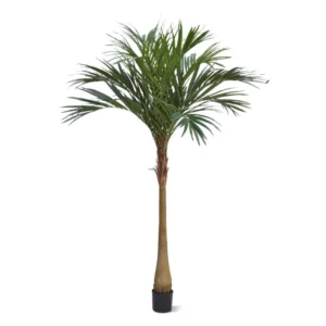 Palma Majestic 225 cm