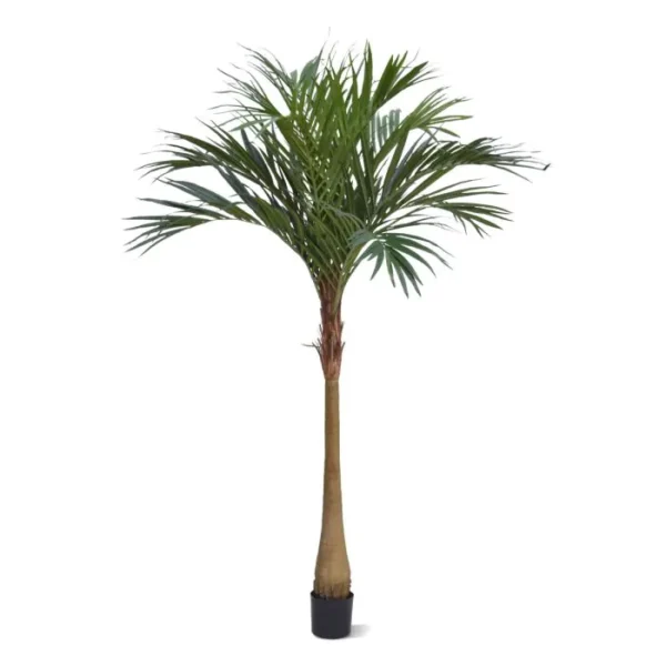 Palma Majestic 225 cm