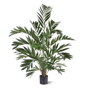 Palma-Parlour-120-cm.webp Palma Parlour 120 cm