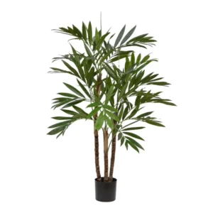 Palma Parlour Luksusowa 100 cm