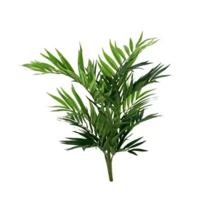 Palma Parlour na Piku 50 cm