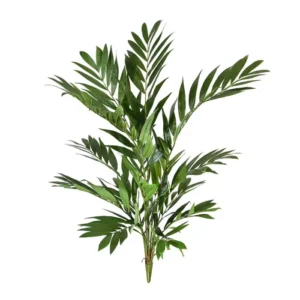 Palma-Parlour-na-Piku-90-cm.webp Palma Parlour na Piku 90 cm
