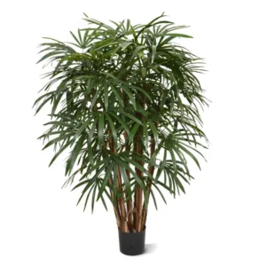 Palma Rapis Luksusowa 130 cm