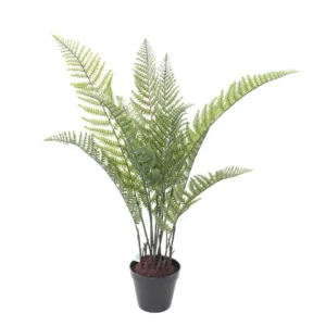 Paproc-w-Doniczce-UV-100-cm.webp Paproć w Doniczce UV 100 cm