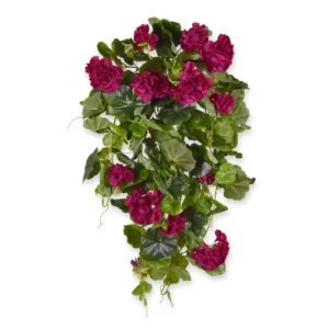 Pelargonia Luksusowa Wisząca Burgundowa 70 cm