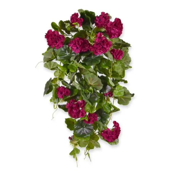 Pelargonia Luksusowa Wisząca Burgundowa 70 cm