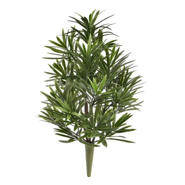 Podokarpus na Piku UV 40 cm