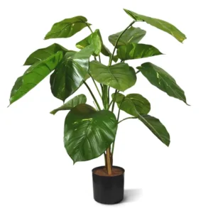 Potos Luksusowy 90 cm
