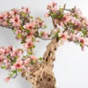 Drzewo magnolii z różowymi kwiatami na naturalnym egzotycznym pniu