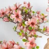 Drzewo magnolii z różowymi kwiatami na naturalnym egzotycznym pniu
