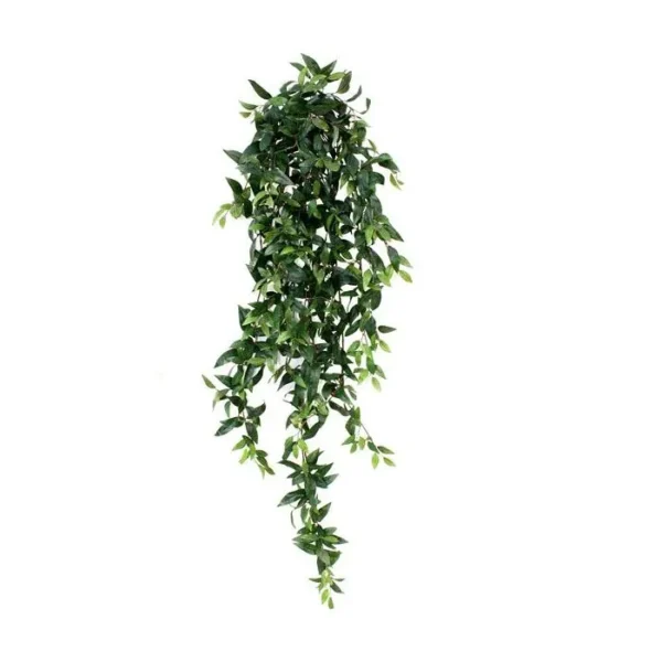 Ruskus 125 cm