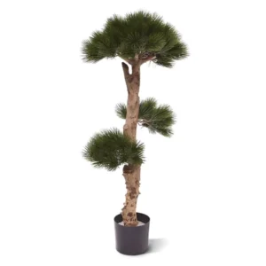 Sosna - Bonsai UV 110 cm