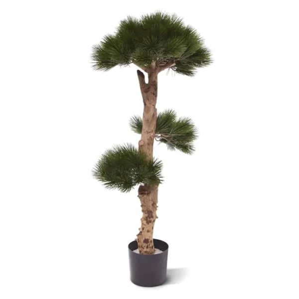 Sosna - Bonsai UV 110 cm