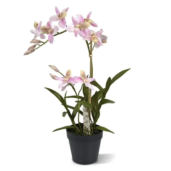 Storczyk Orchidea Różowy 50 cm