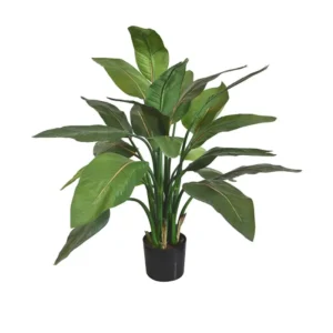 Strelicja-95-cm.webp Strelicja 95 cm