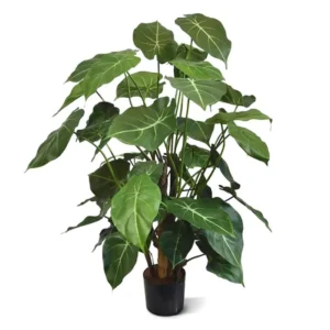 Syngonium-Luksusowe-85-cm.webp Syngonium Luksusowe 85 cm