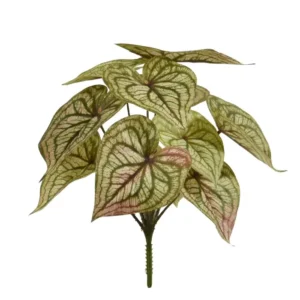Syngonium Pink&Ruby na Piku 30 cm