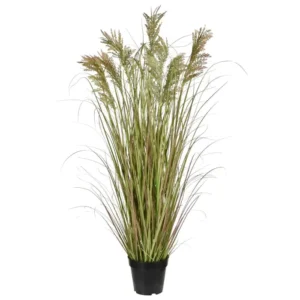 Trawa-Pampasowa-120-cm.webp Trawa Pampasowa 120 cm